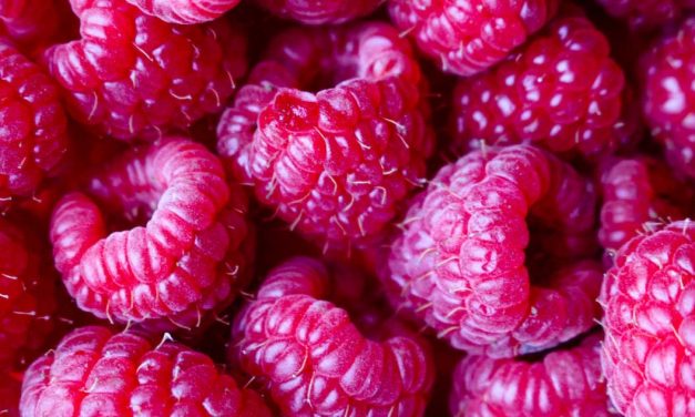 Raspberry Ketones Weight Loss Pills