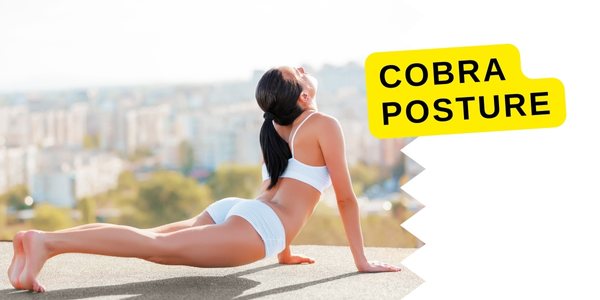 Cobra Posture Image